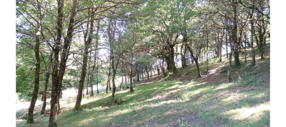  قطعة أرض في Cantelaes, Portugal 18000متر مربع رقم 21206 20