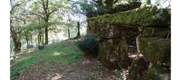  قطعة أرض في Cantelaes, Portugal 18000متر مربع رقم 21206 15