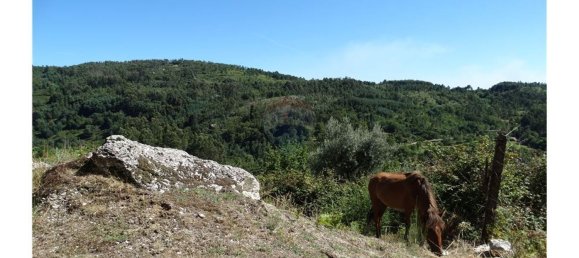  قطعة أرض في Cantelaes, Portugal 18000متر مربع رقم 21206 7