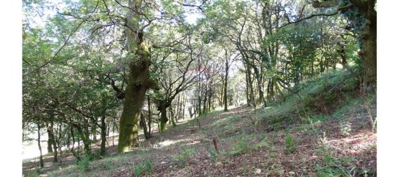  قطعة أرض في Cantelaes, Portugal 18000متر مربع رقم 21206 17