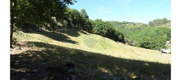  قطعة أرض في Cantelaes, Portugal 18000متر مربع رقم 21206 8