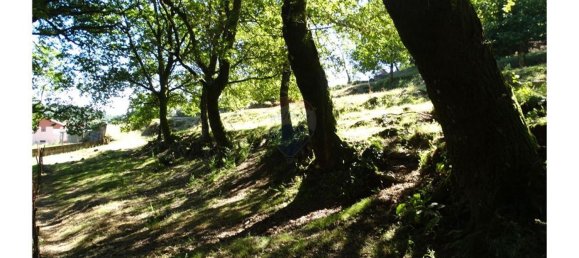  قطعة أرض في Cantelaes, Portugal 18000متر مربع رقم 21206 26