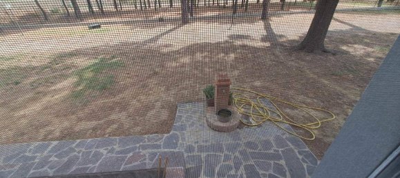 13 rooms Villa in Grosseto, Italy No. 31924 47