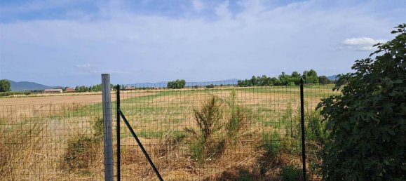 13 rooms Villa in Grosseto, Italy No. 31924 8