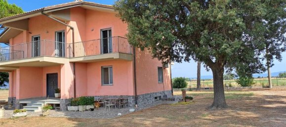 13 rooms Villa in Grosseto, Italy No. 31924 5