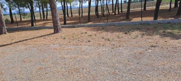 13 rooms Villa in Grosseto, Italy No. 31924 9