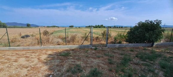 13 rooms Villa in Grosseto, Italy No. 31924 7