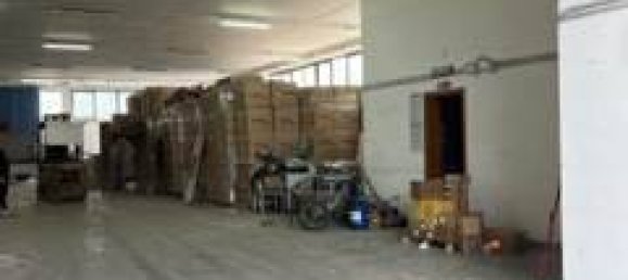 800m² Warehouse in Civitanova Marche, Italy No. 275120 11