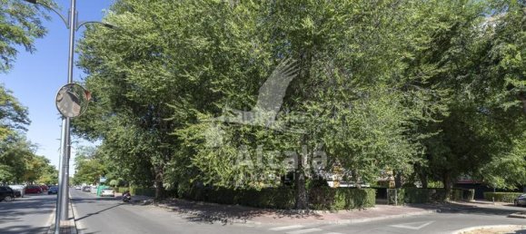 Квартира с 3 спальнями в Алькала-де-Энарес, Испания № 179595 49