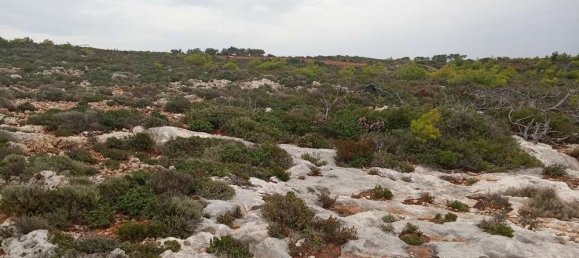 terreno en venta en Zakynthos, Ionian Islands, Peloponnese, Western Greece and the Ionian, Greece № 864 15