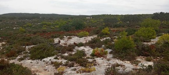 terreno en venta en Zakynthos, Ionian Islands, Peloponnese, Western Greece and the Ionian, Greece № 864 18