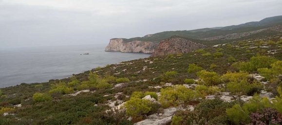 terreno en venta en Zakynthos, Ionian Islands, Peloponnese, Western Greece and the Ionian, Greece № 864 19
