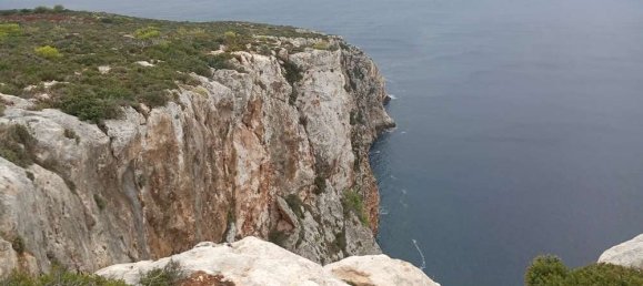 terreno en venta en Zakynthos, Ionian Islands, Peloponnese, Western Greece and the Ionian, Greece № 864 11