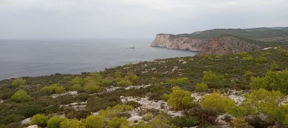 terreno en venta en Zakynthos, Ionian Islands, Peloponnese, Western Greece and the Ionian, Greece № 864 8