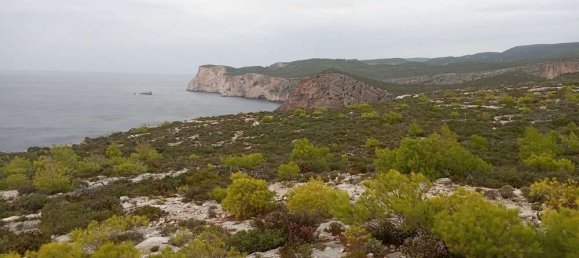 terreno en venta en Zakynthos, Ionian Islands, Peloponnese, Western Greece and the Ionian, Greece № 864 4