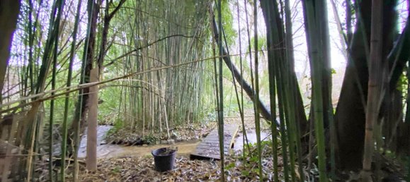 Villa T4 em Beaugency, France N.º 262090 5