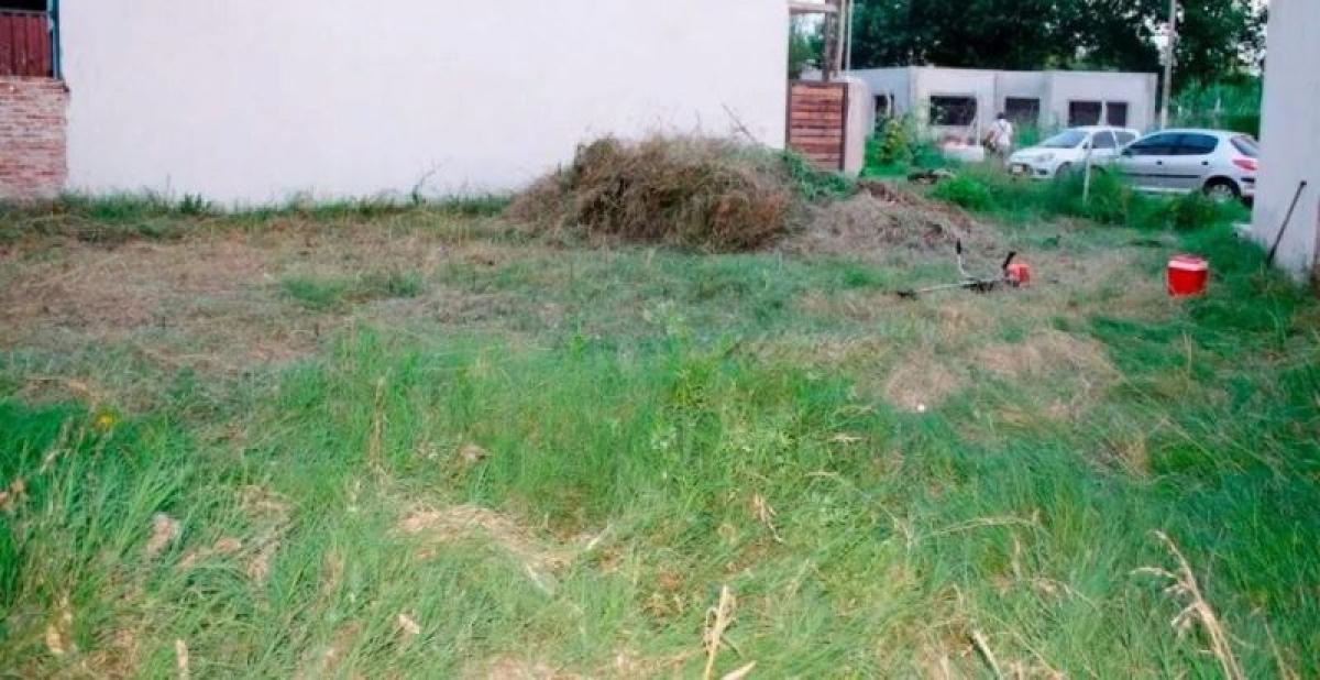  Land in Ituzaingo, Argentina No. 31816