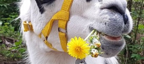 Hotel in Erzgebirgskreis, Germany 676m², Nr. 60566 25