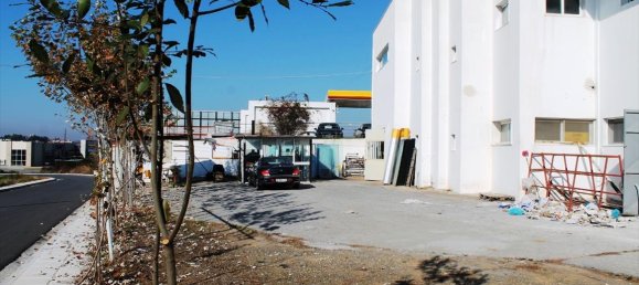 Property في Chalkidiki, Greece 700متر مربع رقم 6829 12