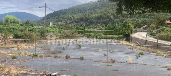 3 bedrooms Villa in Cisano sul Neva, Italy No. 294217 41