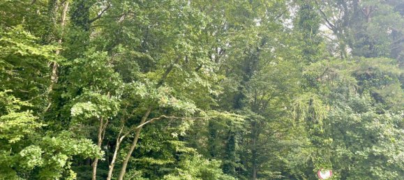  Land in Bad Tatzmannsdorf, Austria No. 167427 10