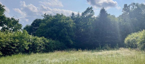  Land in Bad Tatzmannsdorf, Austria No. 167427 3