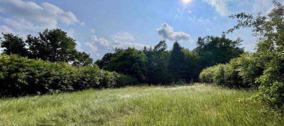  Land in Bad Tatzmannsdorf, Austria No. 167427 6