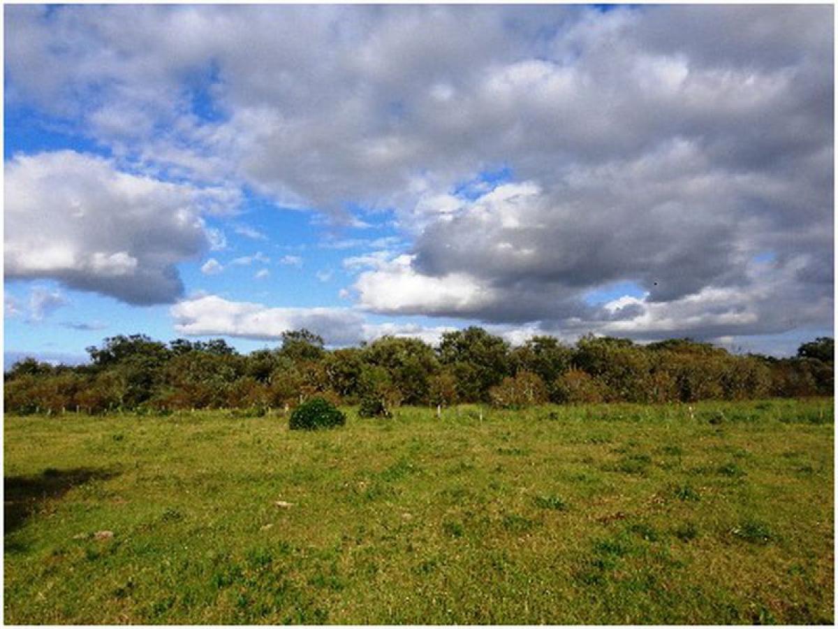 12m² Farm in Maldonado, Uruguay No. 14183