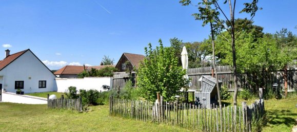 6-Zimmer Haus in Lackendorf, Austria, Nr. 259937 41