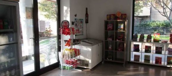 Gewerbliche Immobilie in Besana in Brianza, Italy 115m², Nr. 373780 2