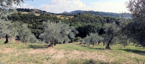 Земельный участок 8300м² в Сализано, Италия № 115962 11