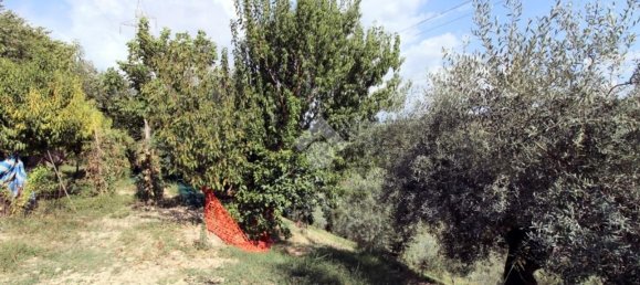 Земельный участок 8300м² в Сализано, Италия № 115962 13