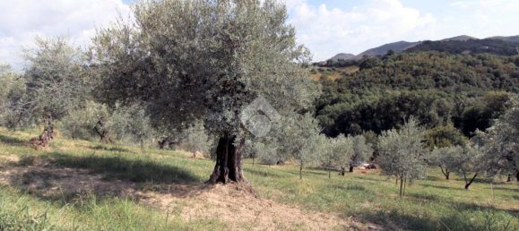 Земельный участок 8300м² в Сализано, Италия № 115962 2