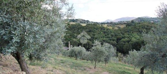 Земельный участок 8300м² в Сализано, Италия № 115962 12