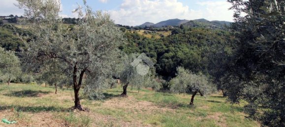 Земельный участок 8300м² в Сализано, Италия № 115962 17