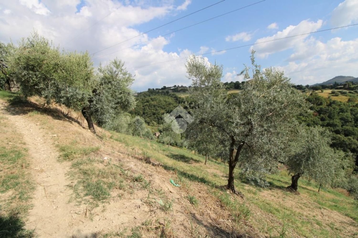 Земельный участок 8300м² в Сализано, Италия № 115962