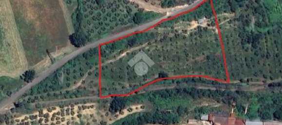 Земельный участок 8300м² в Сализано, Италия № 115962 16