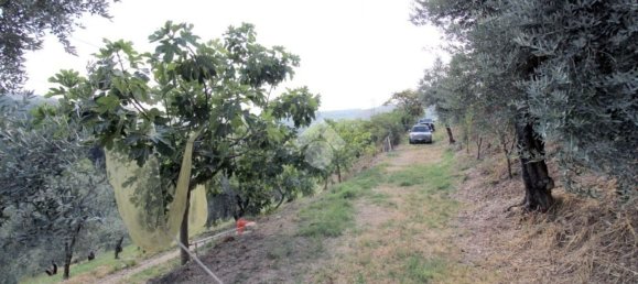 Земельный участок 8300м² в Сализано, Италия № 115962 3