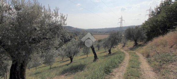 Земельный участок 8300м² в Сализано, Италия № 115962 10