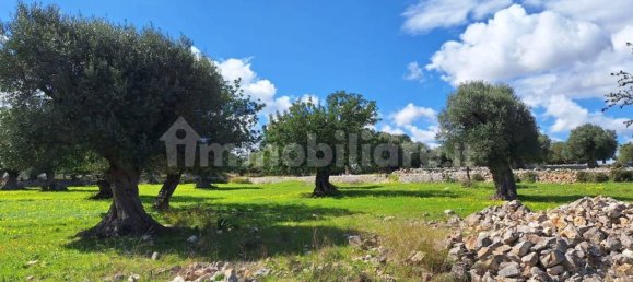 قطعة أرض في Polignano a Mare, Italy 35173متر مربع رقم 322044 15