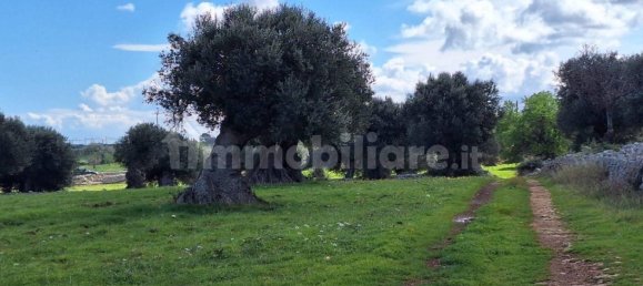 قطعة أرض في Polignano a Mare, Italy 35173متر مربع رقم 322044 12