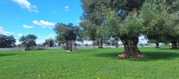 قطعة أرض في Polignano a Mare, Italy 35173متر مربع رقم 322044 5