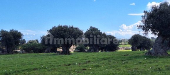 قطعة أرض في Polignano a Mare, Italy 35173متر مربع رقم 322044 21