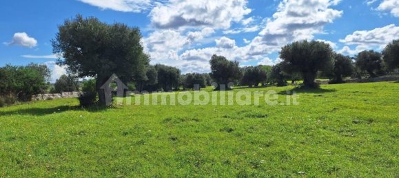 قطعة أرض في Polignano a Mare, Italy 35173متر مربع رقم 322044 3