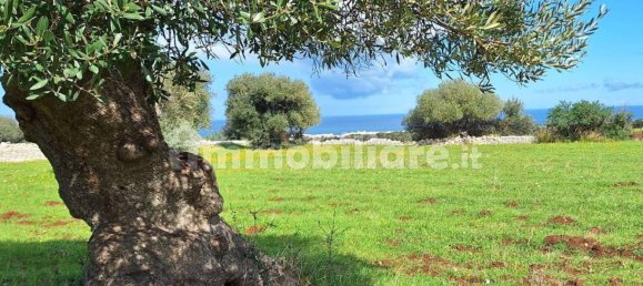 قطعة أرض في Polignano a Mare, Italy 35173متر مربع رقم 322044 8