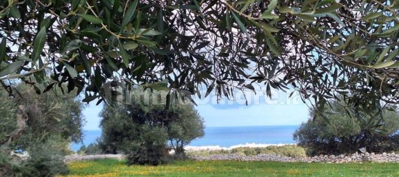 قطعة أرض في Polignano a Mare, Italy 35173متر مربع رقم 322044 18