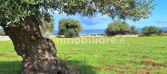 قطعة أرض في Polignano a Mare, Italy 35173متر مربع رقم 322044 14
