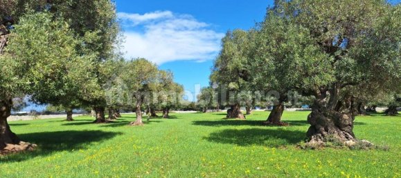 قطعة أرض في Polignano a Mare, Italy 35173متر مربع رقم 322044 16