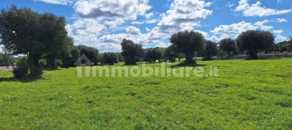 قطعة أرض في Polignano a Mare, Italy 35173متر مربع رقم 322044 17