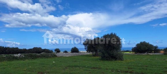 قطعة أرض في Polignano a Mare, Italy 35173متر مربع رقم 322044 13